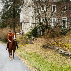Carson Kressley Instagram - Spring is springing . #americansaddlebred @saddlebredofficial