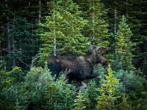 Case Walker Instagram - the mountains praise His name.

Indian Peaks Wilderness.