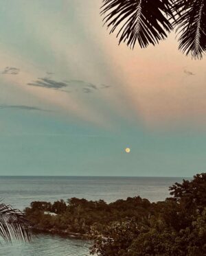 Casey LaBow Instagram - P O R T A N T O N I O, J A - Jamaica, once again you’ve left an indelible mark on my soul. Soon come back. ✌️🇯🇲 #portantonio #jamaicajamaica