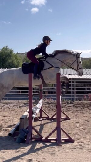 Cassi Thomson Instagram - Slowly but surely figuring it out with the big man. One huge advantage of having literally every jump lesson filmed is that I can easily look back and see the progress within us both. We have a long way to go of course, but I’m pretty proud of how far we’ve come. 🤗 #remingtontheottb