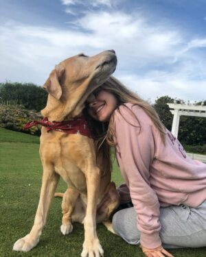 Cassi Thomson Instagram - TUCKER IS 16!!! 🥳🎉💛 HAPPY BIRTHDAY to my sweet sweet boy. 

Tuck has walked by my side for over half of my life now. I wish I could put into words how much I love this little dude. I think it goes beyond love though — we have truly shared our lives. Being his guardian these many years has been paramount to my well being and development as a woman. To now have the great privilege of watching him grow old is something I know I will be grateful for all of my life. 
My silent observer, my dearest friend, my squishy. 

I’m already cryin’ but if I go on for much longer I’ll be a puddle. Thank you all for loving him right along with me! 
Cheers to ol’ Tuck!