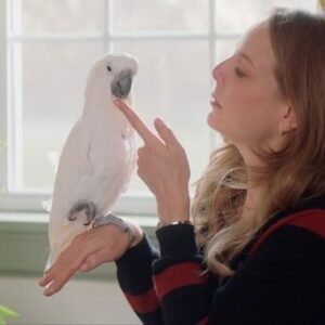 Catherine Curtin Instagram - Le Parrot!!! Truly one of the funniest, poignant, aberrant  family pilots ever! Loved this script and loved this shoot!  Amazingly talented and wonderful people. Way too fabulous! In competition at #triibecafilmfestival #tribecafilm #pilot #hulu #amazonstudios #netflixseries