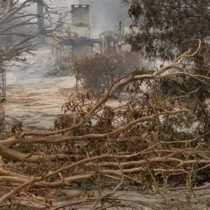 Catherine Oxenberg Instagram - my beautiful home in embers. #malibufire the devastation is beyond comprehension. tragedy for our whole community