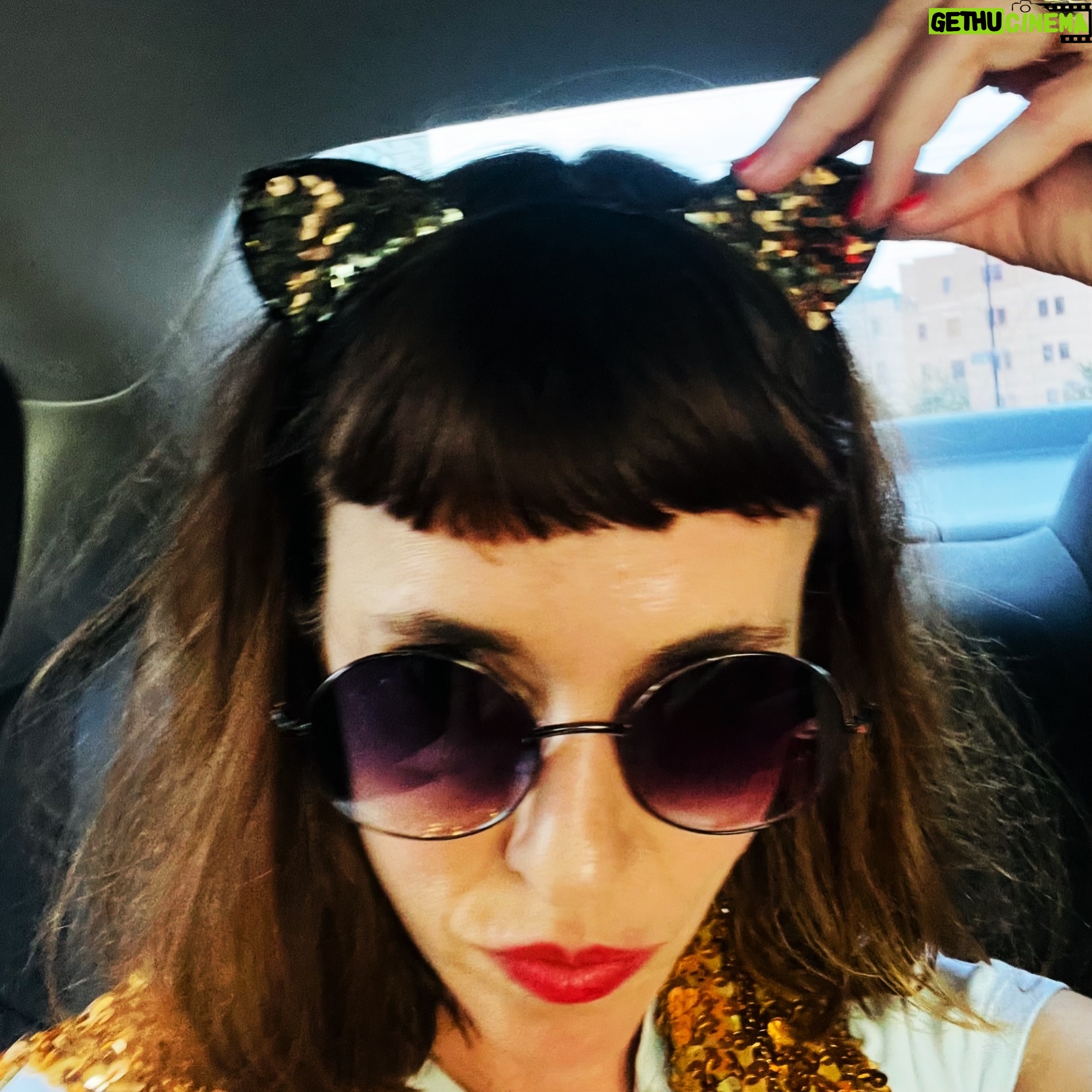 Catherine Pogonat - 38 Likes - Petit chat sera Dj de 18h à 20h ce soir aux @francosmtl !
Avec @dj_yro coin Clark et Ste-Catherine. Viens! 💋
@icimusique