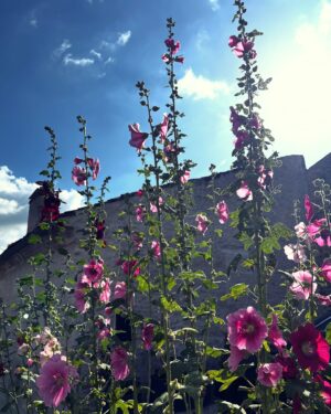 Catherine Pogonat Instagram - France-Fleur.