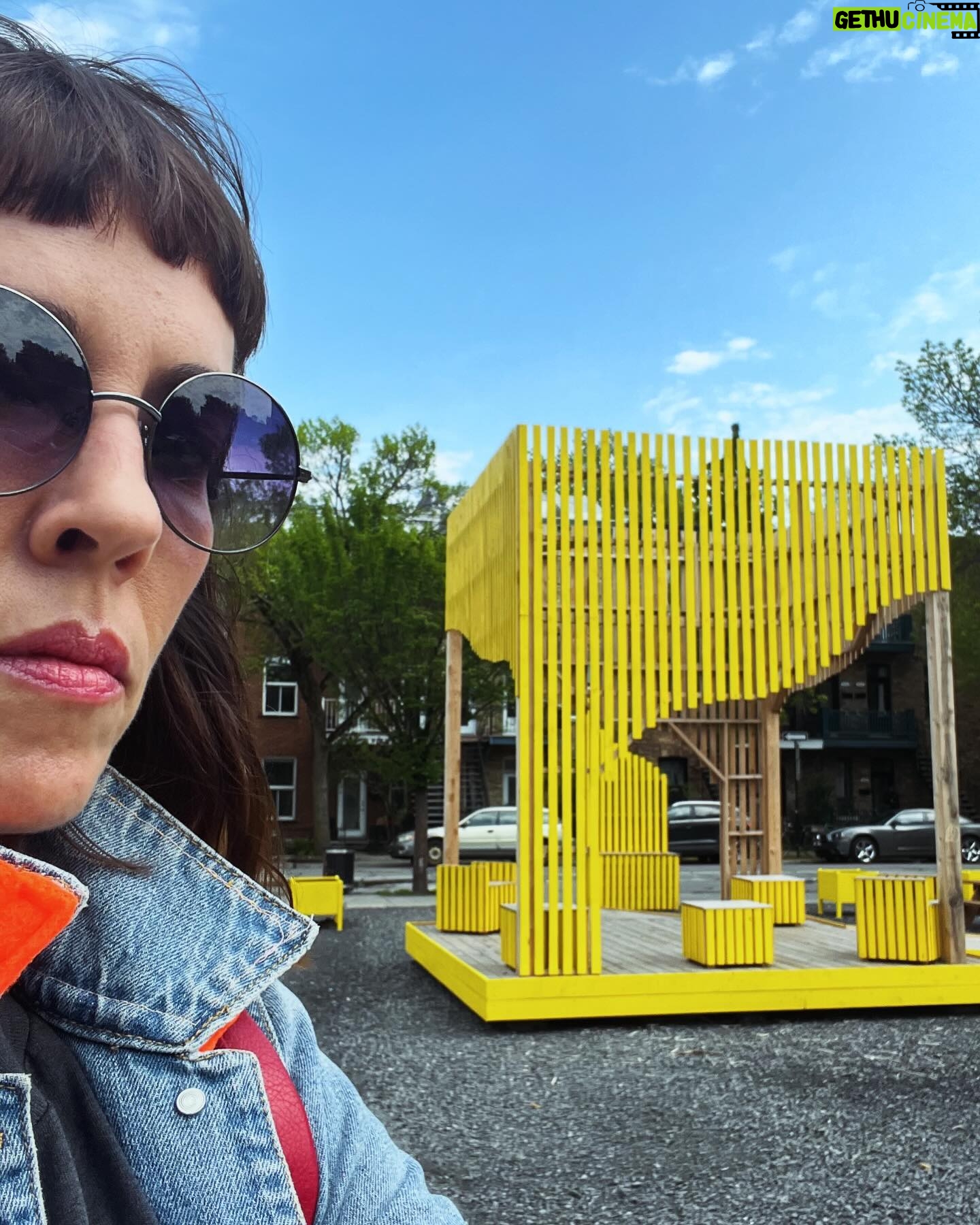 Catherine Pogonat - 56 Likes - Jaune.
