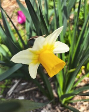 Catherine Pogonat Instagram - Jaune.