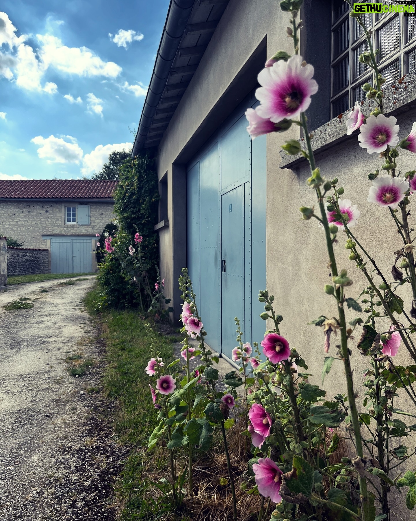 Catherine Pogonat - 94 Likes - France-Fleur.