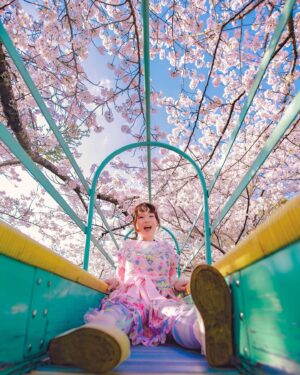 Cathy Cat Instagram - 10 pictures: Which one looks most ridiculously excited and why? 🛝 slide left to see the slide pics 😉 🛝 Which ones the most ridiculous? Which one looks the most excited?

Photo @masatoosan_portrait 
Dress @devilinspiredofficial 

#sakurajapan #japansakura #sakura2023 #sakura #japan_sakura #japan_photo #japan_photo_now #japan_photo_share #japan_photo_view #japantravel #cherryblossom #cherryblossomjapan #cherryblossom2023 #桜 #桜スポット #桜すべり台 #sakuraslide #桜ポートレート #桜ピンク #ファンシー　#ピンクファッション #devilinspired