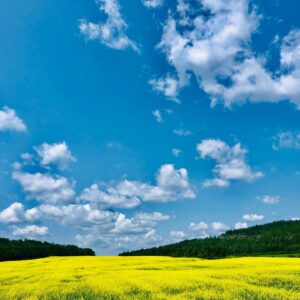 Cathy Gauthier Instagram - En Abitibi-Témiscamingue, il y a la poésie de Richard Desjardins et celle des paysages à couper le souffle!