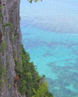 Cedar Wright Instagram - I’m excited to announce my first #dirtbagfund “loser” 😜 @jamrockclimbing is leading the charge of route development in Jamaica.  I was trying to keep my giving to North America, but this is just too worthy so I donated 420 euro to “Bolts for Jamaica”  if you could go to the “go fund me” link in my bio and help them get to their goal that would be incredible.  My friends at @fixehardware will also be shipping much needed hardware!Juan Luis has already developed over 100 routes in Jamaica, but beyond that @jamrockclimbing is introducing more locals to the sport, providing them with gear and instruction to climb safely, and his next project is to build a public climbing wall with the “aim of encouraging more people to try out the sport, especially those who can’t afford to travel to other parts of the island to climb.” I’ll be announcing more losers and winners over the coming weeks. Most recipients have already received their cash, but it’s important to me that each person gets their moment in the sun so the roll out will take some time.  Woohoo!