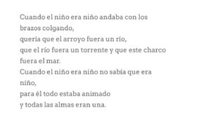 Celeste Cid Instagram - y todavía es así. ♥️

Peter Handke.
