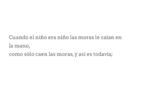 Celeste Cid Instagram - y todavía es así. ♥️

Peter Handke.