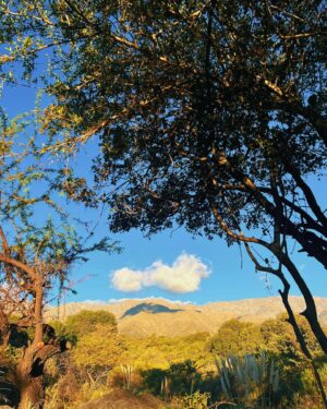 Celeste Cid Instagram - Córdoba sos espectacular. Tus colores, tus flores, tu tiempo que no corre a ningún lado. El día en la montaña en que el camino se hizo de noche no lo olvidaré. 
Gracias @ecoposadalasdalias por todo lo que aprendí en estos días (las ensaladas con kiwi y coco rayado se van pa Buenos Aires..las pizzas con uvas y queso azul también. Mari y Lore: capas ❤️)

Pd. primera vez que paro en un lugar y la biblioteca está llena de cosas que quería leer.