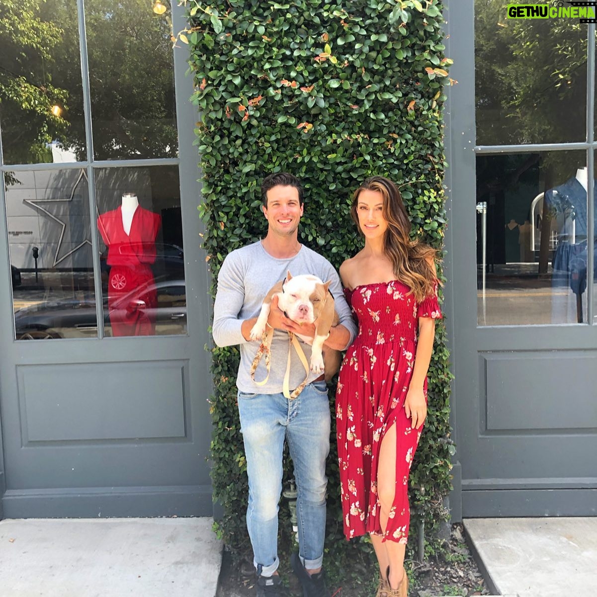 Celeste Ziegler - 0.9K Likes - Well it’s official , we finally signed the papers and adopted this #furbaby . She’s our little pocket pittty and still needs a name . Any suggestions ?