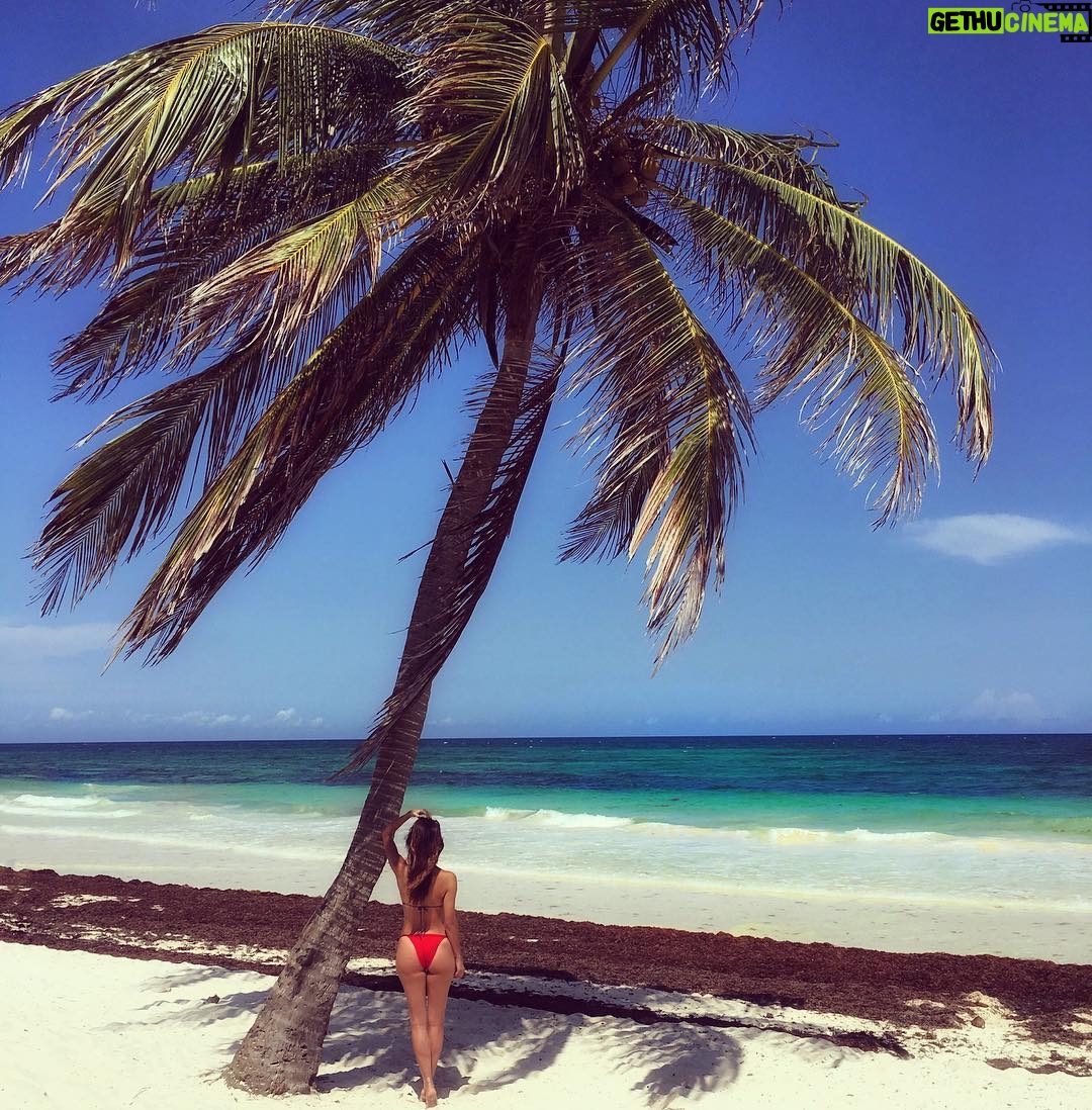 Celeste Ziegler - 486 Likes - Life is a beach 🏝