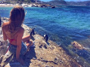 Celeste Ziegler Instagram - Hanging with the homies . Couldn't get enough of these guys, I had to visit them again ! ❤🐧 #simonstown #southafrica #penguins #penguinsofafrica #travelgram #luxwt #luxuryworldtraveler #luxwtsouthafrica