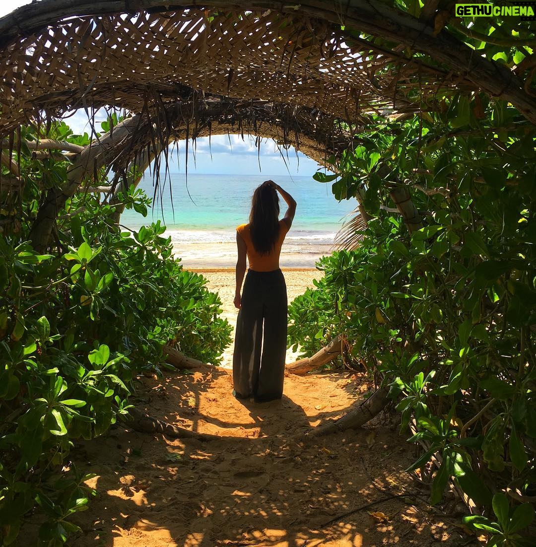 Celeste Ziegler - 488 Likes - Tunnel Vision
#tulum #casamalca #pabloescobarmansion