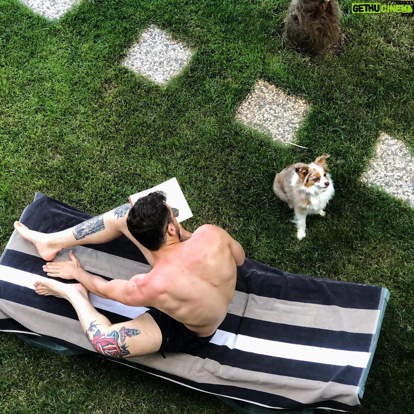 Cem Kenar - 46.2K Likes - Tatil başlasın. 🧉