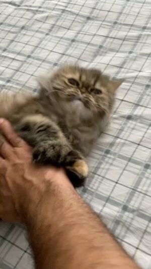 Cem Kılıç Instagram - 