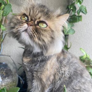 Cem Kılıç Instagram - Dünya güzeli çocuğum benim😻