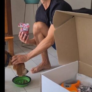 César Caillet Instagram - Amig@s: Llegó Ripley pets, el primer e-commerce con todo para cuidarlos como se merecen, hay  6.000 productos (alimentos,  ropa, juguetes, productos de higiene) @ripleychile @ripleypets 🐶🐱❤