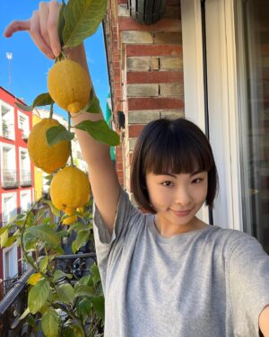 Chacha Huang Instagram - Harvesting lemons and books 🍋💛