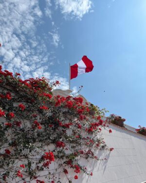 Chacha Huang Instagram - March in Lima