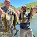 Chad Mendes