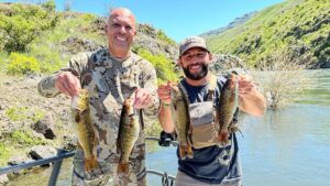 Chad Mendes Instagram - NEW VIDEO IS LIVE!!

With only 2 days to hunt, me and my boy @skidmark25 hit the road to meet @realroyce @4wsllc and few other buddies, in search of big mature black bears!! We crushed some small mouth on the river during the day and connected on some stud bears! Head over to the link in my bio to see how it all went down guys!! Don’t forget to subscribe!! 

#blackbear #summersausage #bigboar #idaho #roycegracie #onxhunt #leupoldoptics #kuiunation #gunwerks