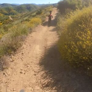 Chadd Smith Instagram - Father’s Day weekend wrap up 🤖🤌🏼 bike rides✅ beat borderlands 3 with mini me✅ bbq with the Big Man✅ tossin around the pigskin✅ dad jokes delivered from daughter 🦾🤡