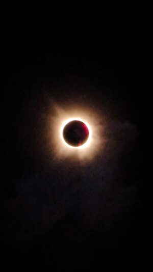 Chalongrat Novsamrong Instagram - 🌘🌞 from Texas #solareclipse