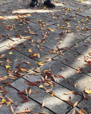 Chang Ryul Instagram - 🍂낙엽 속 숨은 장률 찾기🤪