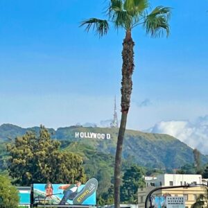 Chantal Videla Instagram - This is what you call Visualising the Future! And of course, the other members will have their own stars too! Let’s make a Lapillus street!🙈 

But for now, let’s check this off our bucket list! Finally got to stroll around the Walk of Fame and see the Hollywood sign! And take a few selfies with big Names too🥹💖

Just a few random throwback pics that I wanted to share with you, peeps! Have a nice Day!☺️☀️✨

PS: The star is Fake, we just made our own and took a picture okie? Let’s wait for the real one later🙊😆✌🏻