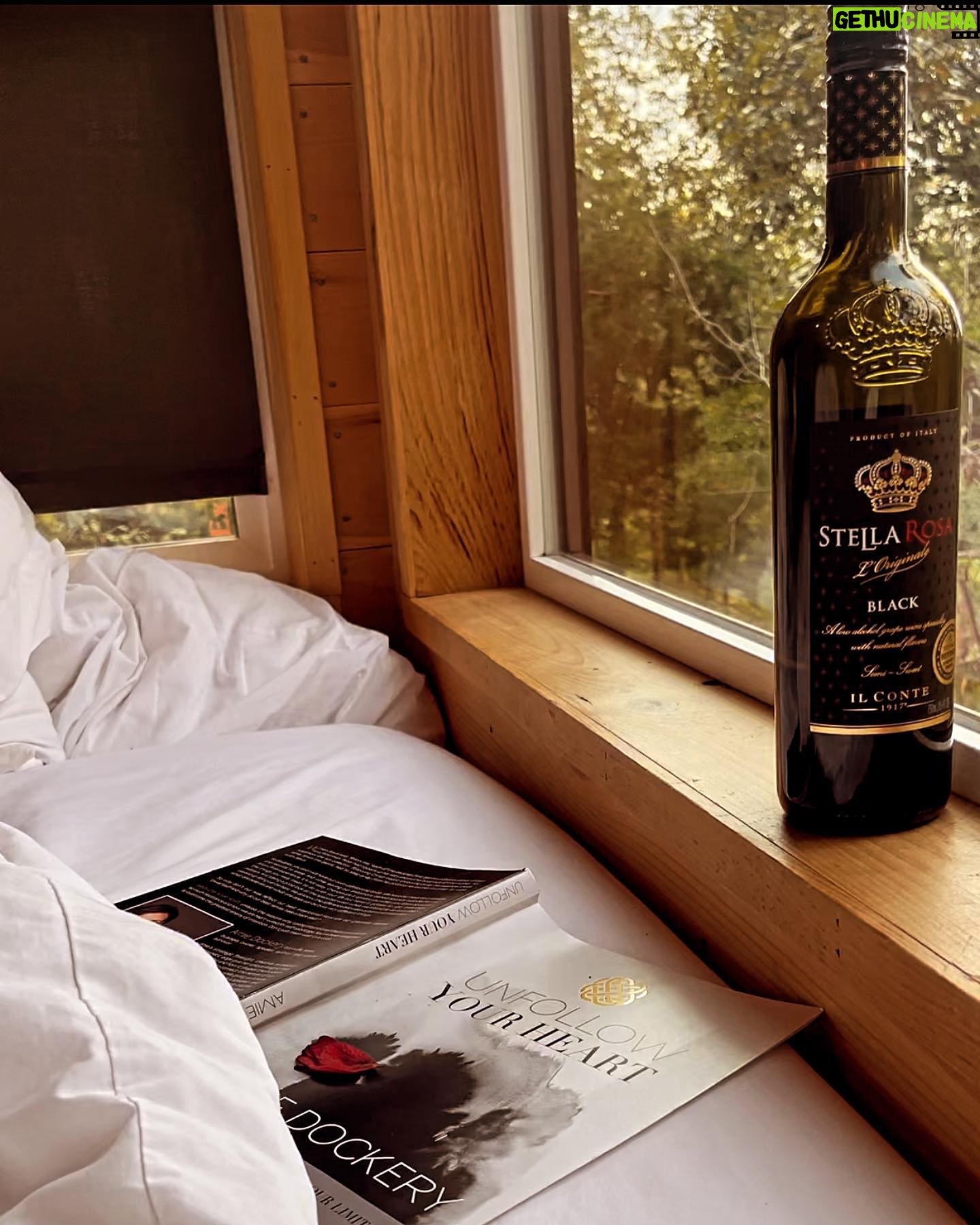 Charity Awoke - 3 Likes - Buenas noches 🌙🌟🍷📚
#NighttimeEscapes #WineandWords #simplepleasures #BudgetBliss