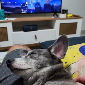 Charles Emmanuel Instagram - Mix de Dia dos Namorados   mudança   morando juntos pela primeira vez   primeira janta no apê novo   bagunça   amor ❤️