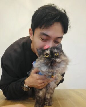 Charlie Goh Instagram - Its been almost 2 years since this fella joined the family and although there were times she has caused some anxiety(over her health) and made me lose sleep(by waking me up at 5am to ask for food), she has brought an abundance of joy to not just my wife and myself, but my parents too.

Shoutout to @petslagoon (for grooming and loving her), @pawlyclinic @springveterinarycare (for taking care of her health) and @bonesoffalmeat (for her healthy and yummy food she has everyday). I am eternally grateful ❤️❤️❤️