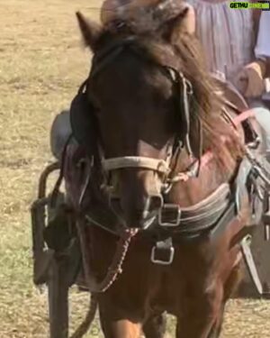 Chase Outlaw Instagram - Happy 12th birthday my baby girl. There’s no doubt your riding the prettiest gray stud horse a cowboys ever seen in pastures greener that anyone here has ever rode I love you cashmoney @outlawnic  @outlaw_24 @bariddle