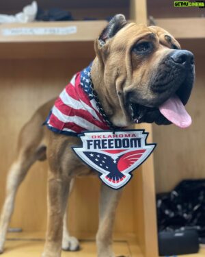 Chase Outlaw Instagram - Bring your dog to Freedom Fest. Meet Hank 👋