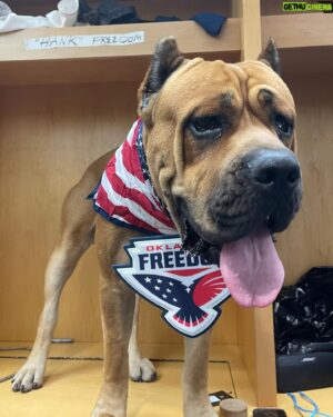 Chase Outlaw Instagram - Bring your dog to Freedom Fest. Meet Hank 👋