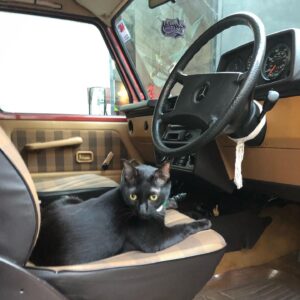 Chatpong Nattapong Instagram - G-Class and Shadow. 🚗🐈‍⬛✨🫶🏼💕💰😘 น้ำมันแพงหรือจะสู้น้ำมันพราย... น้ำมันขึ้นไม่มีผล เพราะรถผมเติมแก๊ส… ขับรถต้องเติมน้ำมัน แต่ถ้าอยากหัวเราะเสียงดังต้องเติมอะไร... ดังแต่ท่อ ล้อไม่หมุน แต่ถ้าไปรับคุณ ผมพร้อมหมุนทันที… ถึงน้องจะไม่เหล่พี่ แต่แมวพี่เหล่ท่อนะ… ไม่ใช่รถสายซิ่ง เอาไว้วิ่งรับส่งแมว… ชอบแมว ไม่ชอบคน แมวชอบซุกซน แต่คนชอบทำให้เสียใจ... รักสี่ล้อ ไม่ง้อสี่หาย...!!!! 🤣😘🐈‍⬛🚗🫶🏼💕💰💶💷

#mercedesbenz
#mercedesbenzgclass
#w460swb #w460 #280geswb
#280ge #1990 #blackcat
#shadowtheclaws #konjacat
#bombaycat
#blackcatsofinstagram
#blackcatsrule #blackcatlove
#blackcatsruletheworld #blackcatclub #gclass #gklasse
#modernvintage #modernvintagecars #car
#classiccars #moderncar
#vintagecar #homelesscat
#streetcat #blackcatlover
#wwaxchooseless #goodvibes
#freudlife