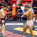 Cheick Kongo