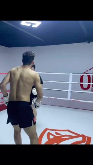 Cheick Kongo Instagram - Nothing to prove, just update your skills.
So don’t be stupid and wear your protections, except if you get pay to go hard.