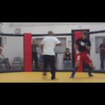 Cheick Kongo