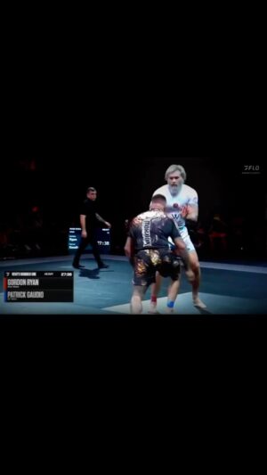 Cheick Kongo Instagram - Case Closed ✅ 
@gordonlovesjiujitsu