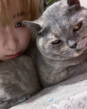 Chen-Yu Ge Instagram - 謝謝妳治癒我所有的負面情緒🐈‍⬛
（雖然不愛拍照被我硬拍的好像臉很不屑🤣
但我看著妳就療癒了💛