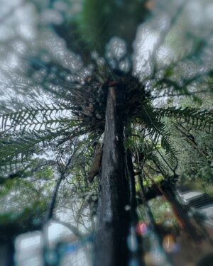 Cheney Song Instagram - 極致幸福的呼吸著燦笑著。