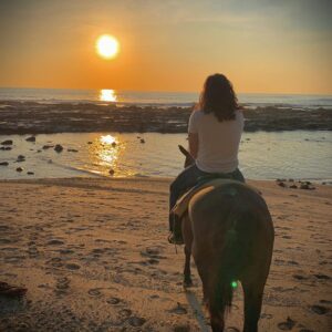 Chester See Instagram - Why yes I did ride a horse into the sunset on a beach in Costa Rica, thanks for asking.
