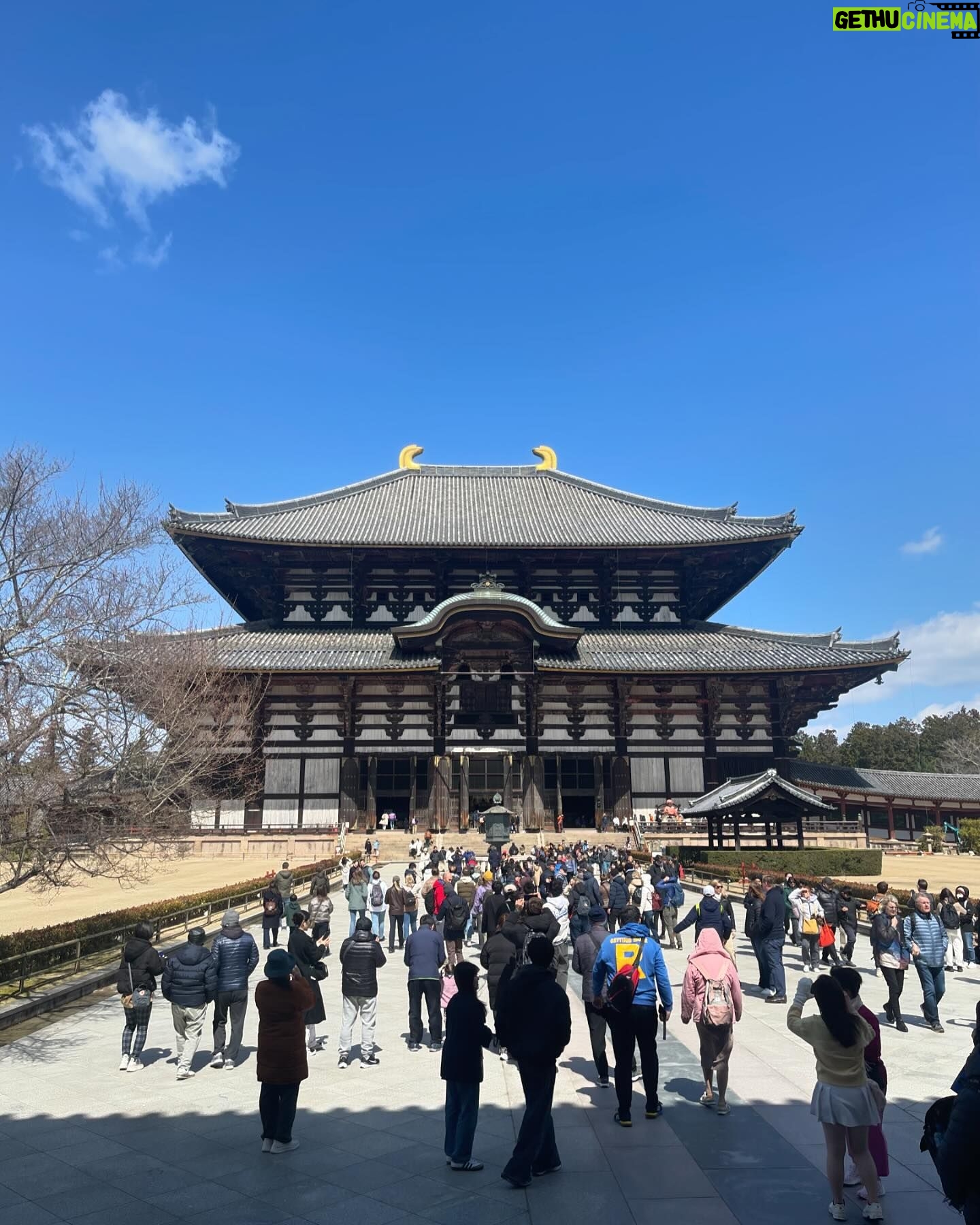 Chisun - 211 Likes - 奈良🦌
#nara
#東大寺