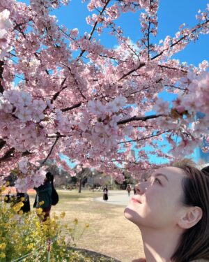 Chisun Instagram - 春やん🌸

#sakura
#spring